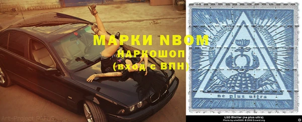 сатива Алексин